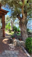 Uliveto Garden - Bed and Breakfast Bagnara Calabra