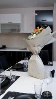 Place to Be - Modern Jacuzzi House in Vozdovac - Bed and Breakfast Belgrado