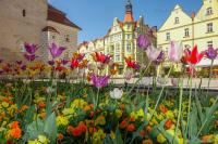 Apartament Przy Starówce - Hampton - Ferienwohnung