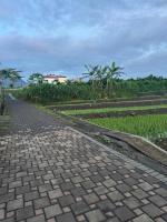 Jawa Batu Villa - Bed and Breakfast Tlekung