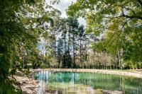 The Artemis Cottage - B&B Fitzroy