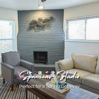 Spacious Studio Perfect For A Spring Getaway #31b - B&B