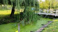 Viktória Apartman DunaWeekend - B&B Makád