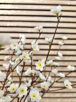 Le Gregorien, Centre de Saint Gregoire - Chambres d’hôtes Saint-Grégoire