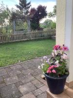 Westallgäu Apartment - Bed and Breakfast Hergatz