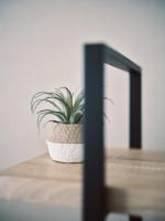 vetta kumamoto suizenji 403 - B&B Kumamoto