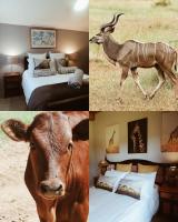 Deluxe Doppelzimmer