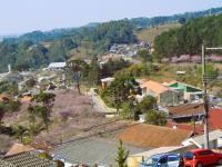 Apartamento Akatu Campos do Jordão - Próximo ao Parque da Cerejeira - B&B Campos do Jordão