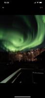 Moose Island- Lofoten, Tromsø, Senja in one step - Ferienwohnung Engenes