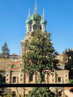 Bibi's House - B&B Florencia