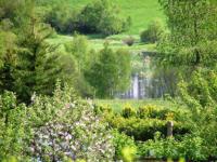 Guest house Mückenheim - B&B Benneckenstein