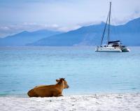 Casa di Pia, demeure Corse du XIXème - Ferienwohnung Olmeta-di-Tuda