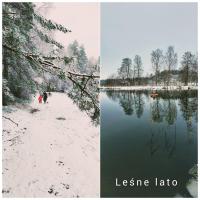 Leśne lato - B&B Loryniec