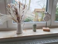 Appartementhaus Westerloog 01-Balkon - Ferienwohnung Spiekeroog