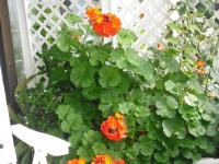 Camera Matrimoniale con Balcone