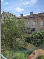 Art Nouveau & Nancy Thermal - Appartement F2 paisible de qualité - B&B Nancy