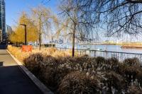 Peninsula Life- Stylish Greenwich 1bed Flat - B&B London