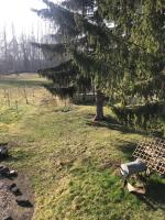 Harzbett - Ferienwohnung Sinsleben