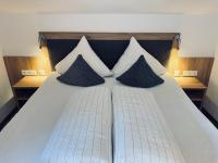 Triple Room with Mountain View