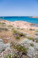 Antico Stazzo Gallurese Lu Capitanu - B&B Trinità d'Agultu