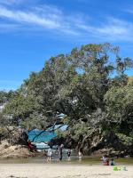 Waipu Cove Surf Cabin - Ferienwohnung Waipu
