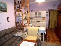 Flat in the heart of Decin close to via ferrata - Chambres d'hôtes Podmokly