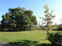 La Bastide du Chêne - B&B Montégut