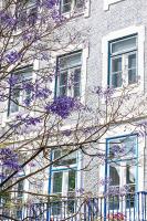 Emporium Lisbon Suites - B&B