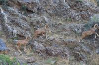 Ikhtiyor guest house - Ferienwohnung Uxum