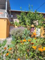 El Pilo - Bed and Breakfast Centenario