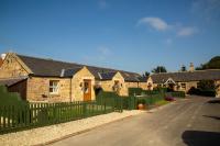 Dunlin - B&B Belford