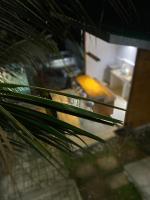 3bedroom Lakeview Casa - B&B Kinalaglagan