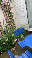 Dolphin cottage - B&B