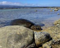 Appartamento Monolocale con Letto Queen-Size