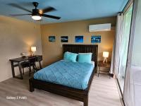 Studio-appartement met Queensize Bed