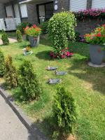 Studio 29 - B&B