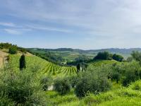 Landora Apartment - Ferienwohnung Grazzano Badoglio