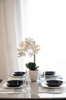 Serene Loft 600 Meters to Beach! - B&B