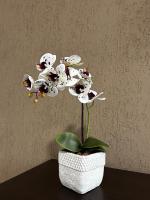 Apartamento 102 - Bed and Breakfast João Monlevade