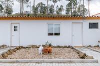 Alma-Rio Room 1 by Mycelia - B&B