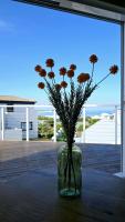 The Lighthouse Loft - Chambres d'hôtes Cape St Francis