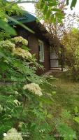 Chaty Sielanka - B&B Junoszyno