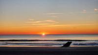 The Little Beach House - Ferienwohnung Ocean City