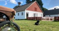 Dambækgaard Sustainable Farm - B&B