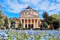 Like Home Stirbei - B&B Bucharest