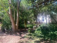 La Cabane Garden Cottage - Ferienwohnung Port Elizabeth