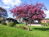 Friedel - B&B Holenberg