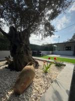 Maria Apartment - B&B Vaccarizzo-Delfino