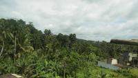 Paddy view guest - Bed and Breakfast