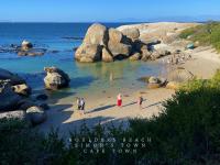 Executive Boulders Beach Suite with Ocean Views - B&B Simon's Town